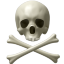 Skull and Bones Icon 64x64 png